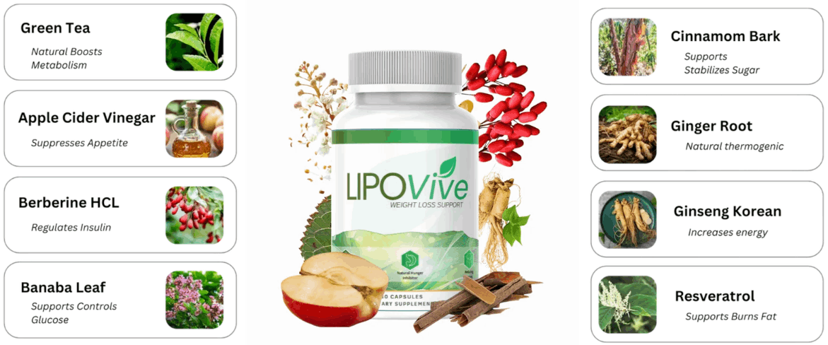 lipovive-Ingredients-List